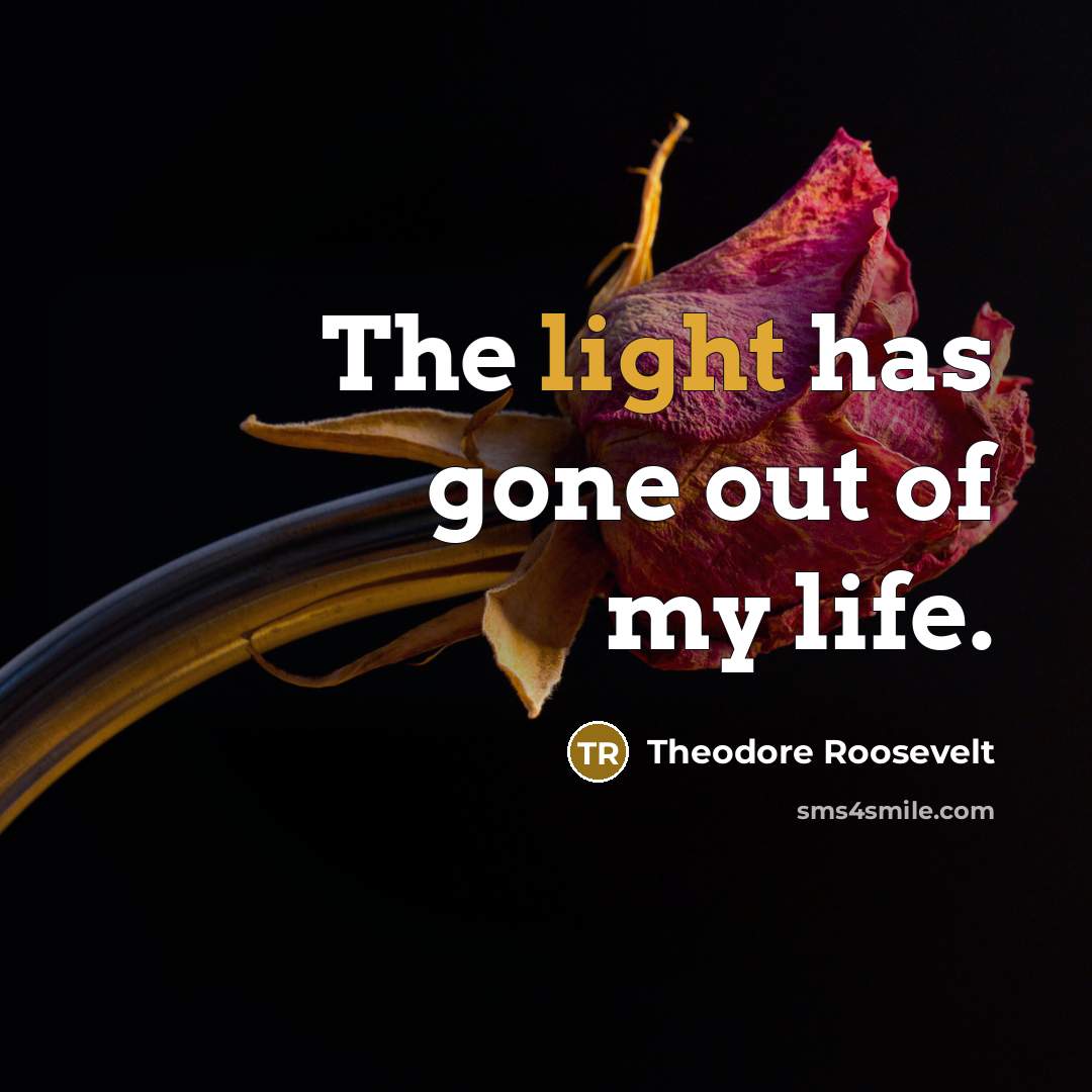 “The light has gone out of my life.…” quote by Theodore Roosevelt