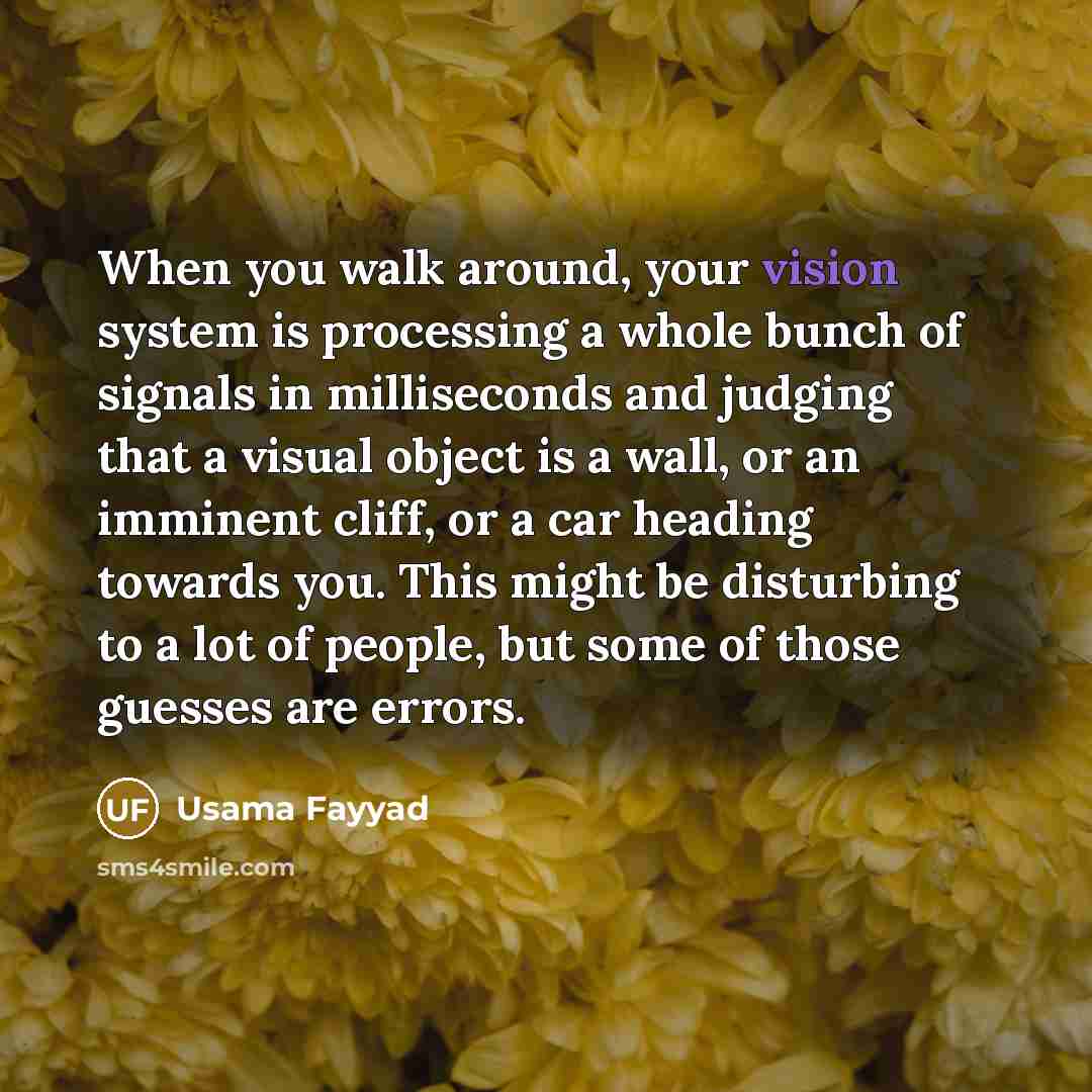 “When you walk around, your vision system is processing a…” quote by Usama Fayyad