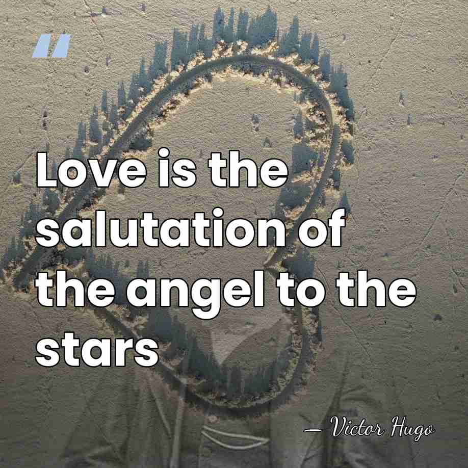 Love is the salutation of the angel to the stars - Victor Hugo