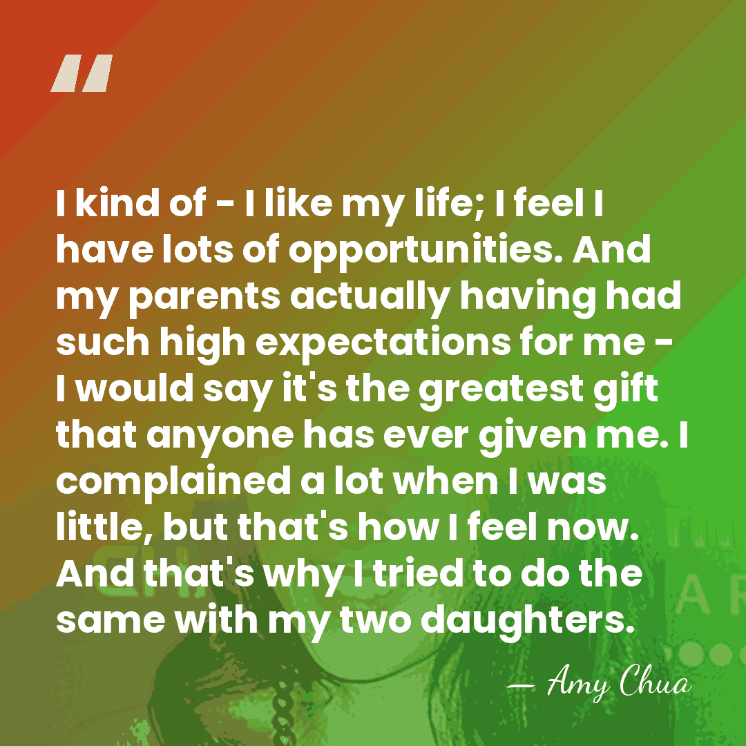 I kind of - I like my life; I feel I have&hellip; - Amy Chua