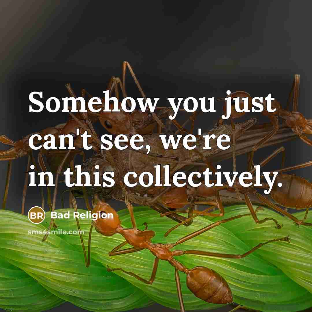“Somehow you just can't see, we're in this collectively.…” quote by Bad Religion