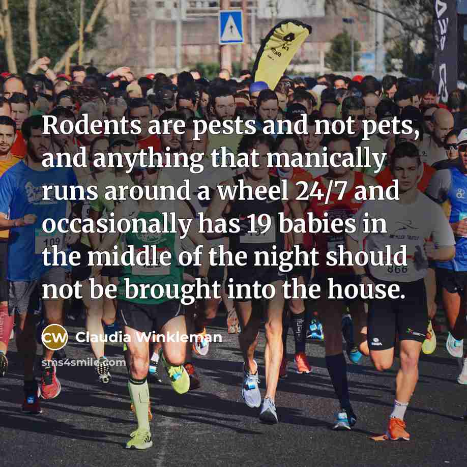 “Rodents are pests and not pets, and anything that manically…” quote by Claudia Winkleman