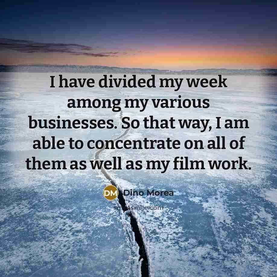 “I have divided my week among my various businesses. So…” quote by Dino Morea