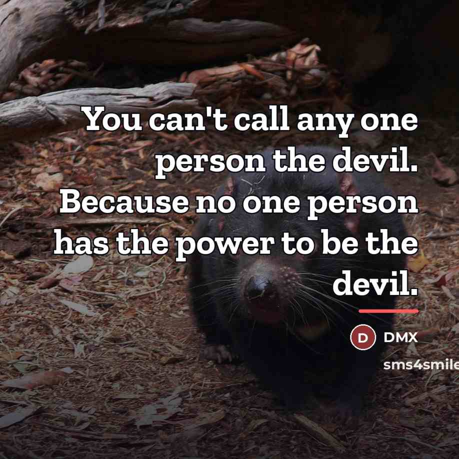 “You can't call any one person the devil. Because no…” quote by DMX