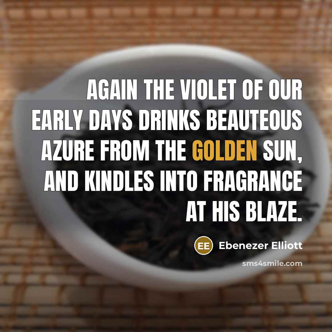 “Again the violet of our early days Drinks beauteous azure…” quote by Ebenezer Elliott