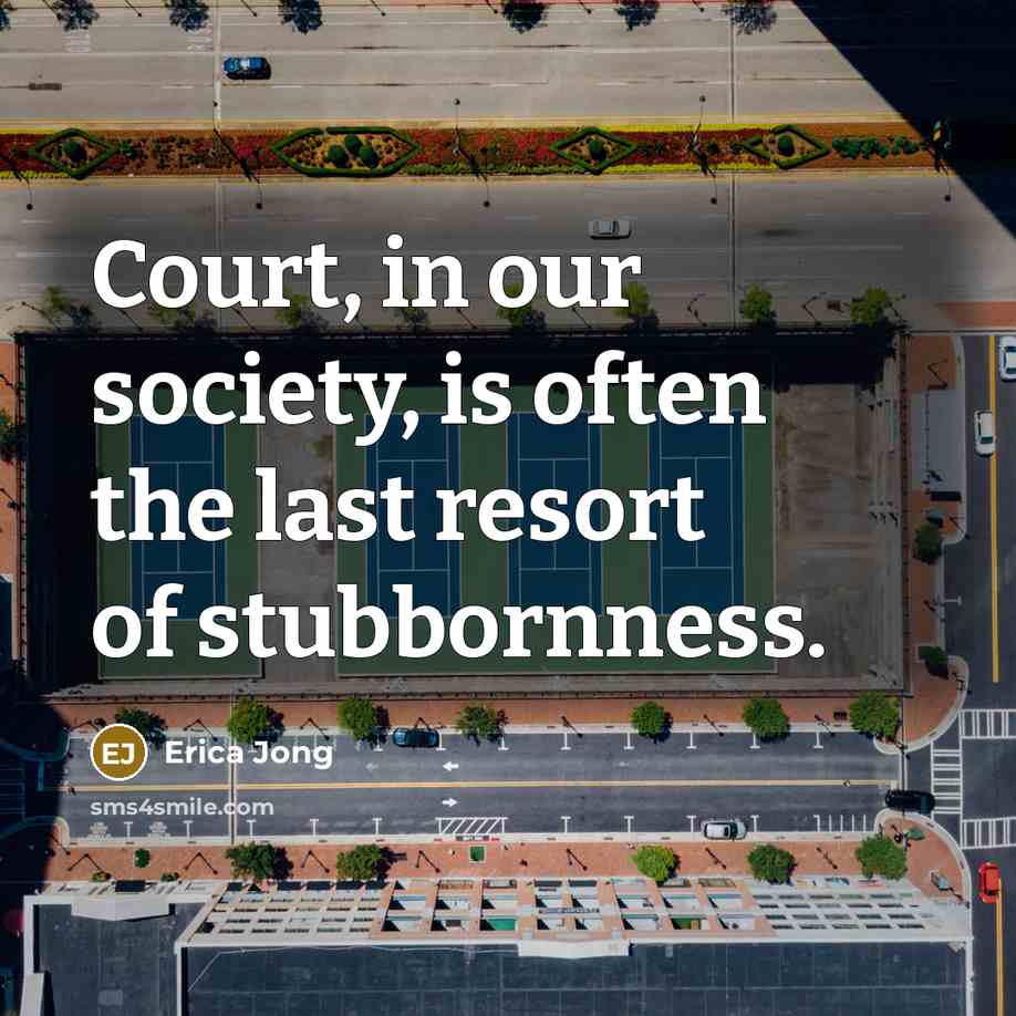 “Court, in our society, is often the last resort of stubbornness.” quote by Erica Jong