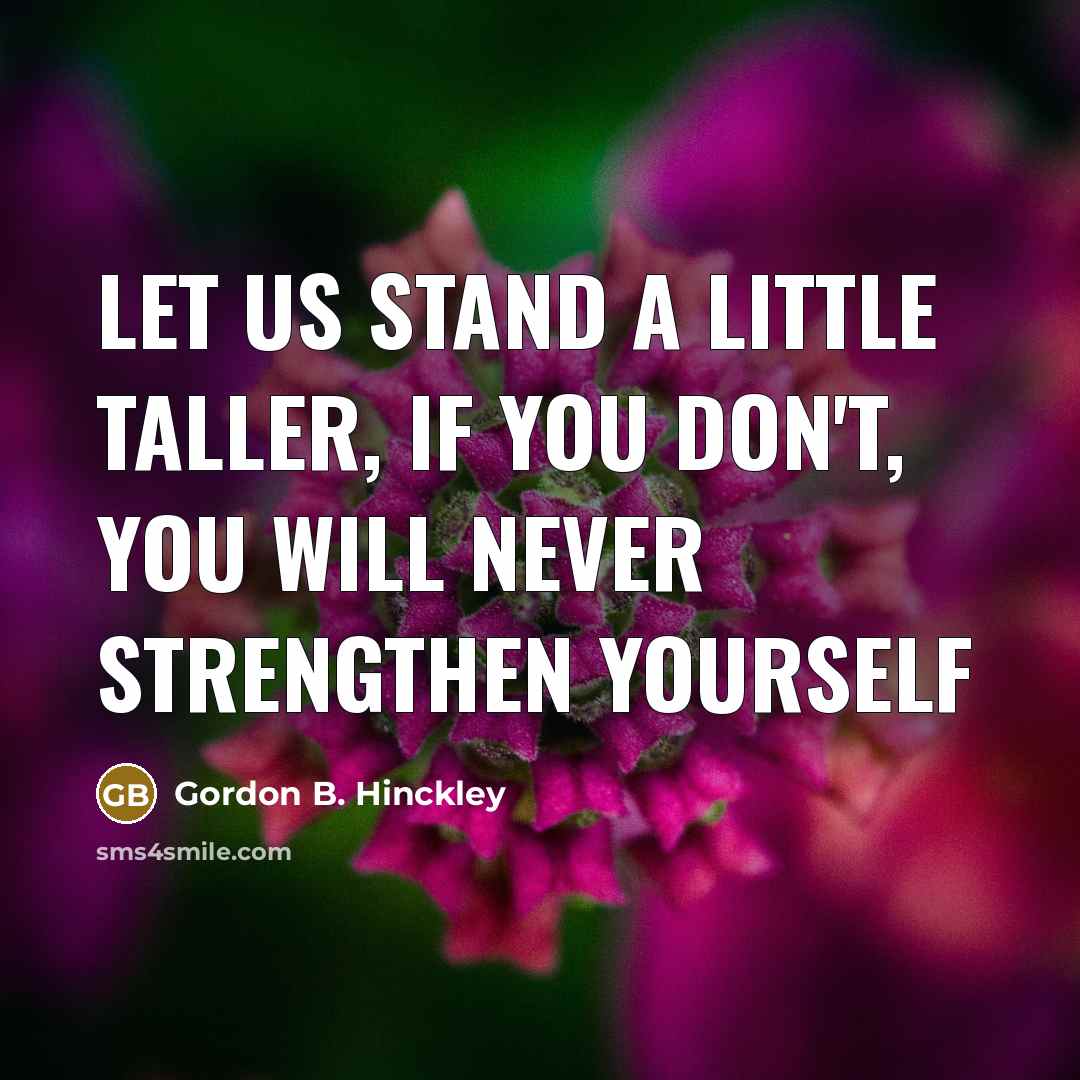 “Let us stand a little taller, if you don't, you…” quote by Gordon B. Hinckley