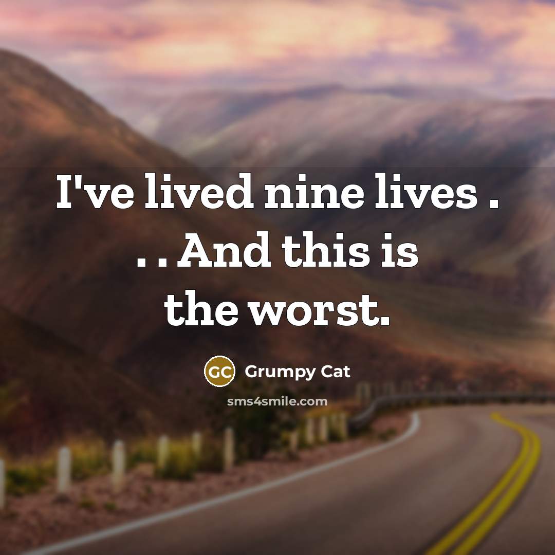 “I've lived nine lives . . . And this is…” quote by Grumpy Cat