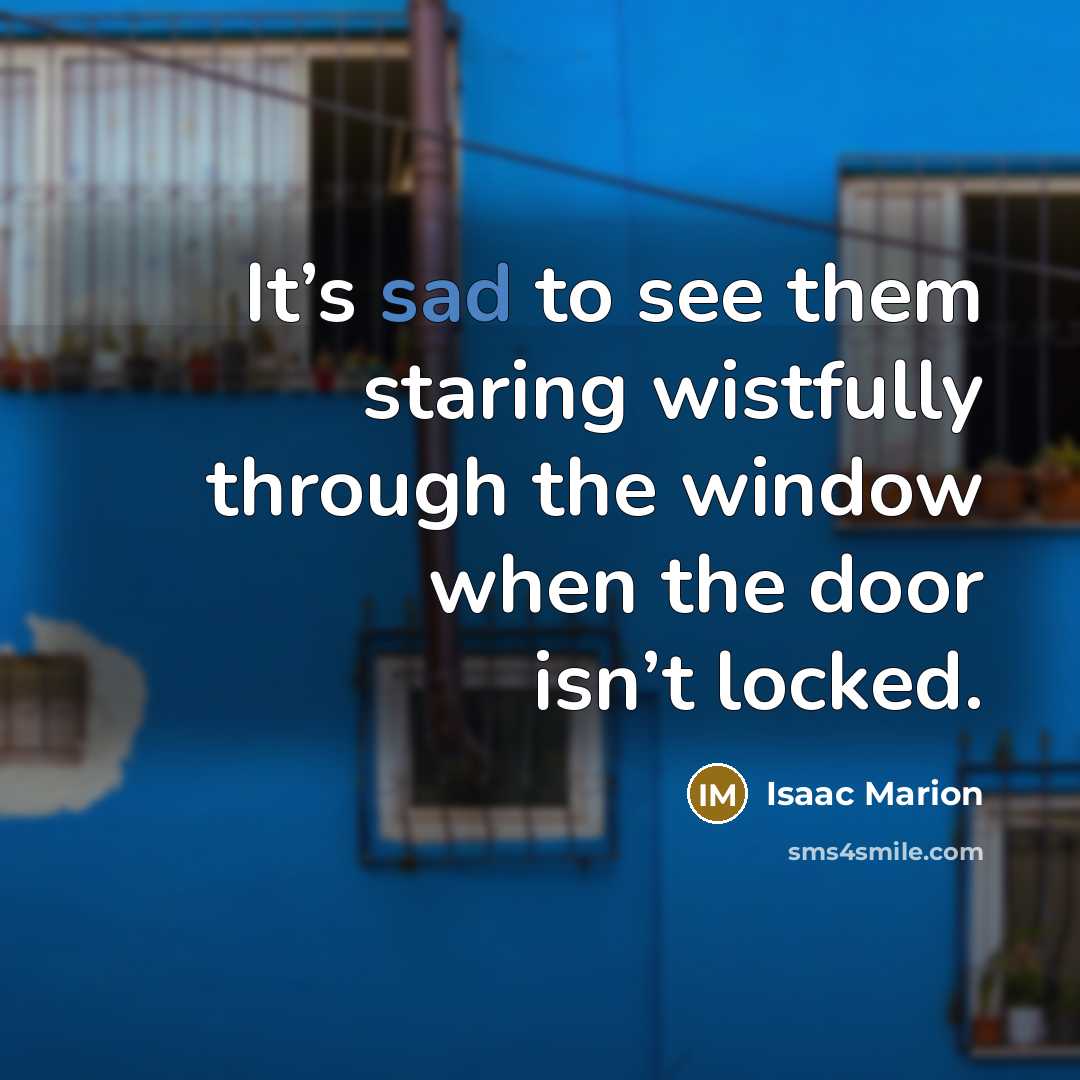 “It’s sad to see them staring wistfully through the window…” quote by Isaac Marion