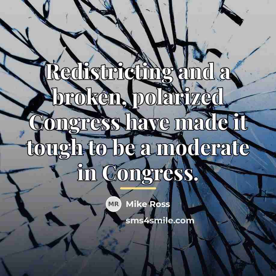 “Redistricting and a broken, polarized Congress have made it tough…” quote by Mike Ross