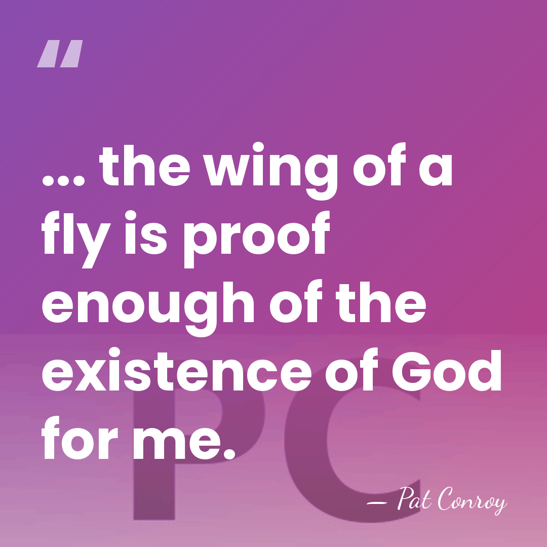 ... the wing of a fly is proof enough of the existence&hellip; - Pat Conroy