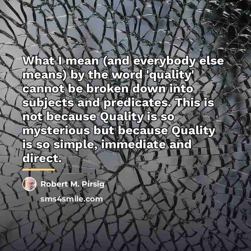“What I mean (and everybody else means) by the word…” quote by Robert M. Pirsig