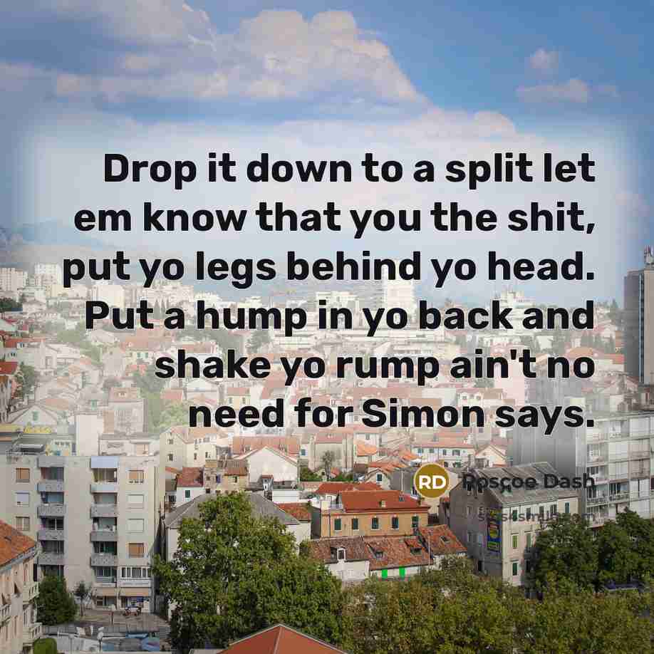“Drop it down to a split let em know that you the shit, put yo legs behind yo head. Put a hump in yo back and shake yo rump ain't no need for Simon says.” quote by Roscoe Dash