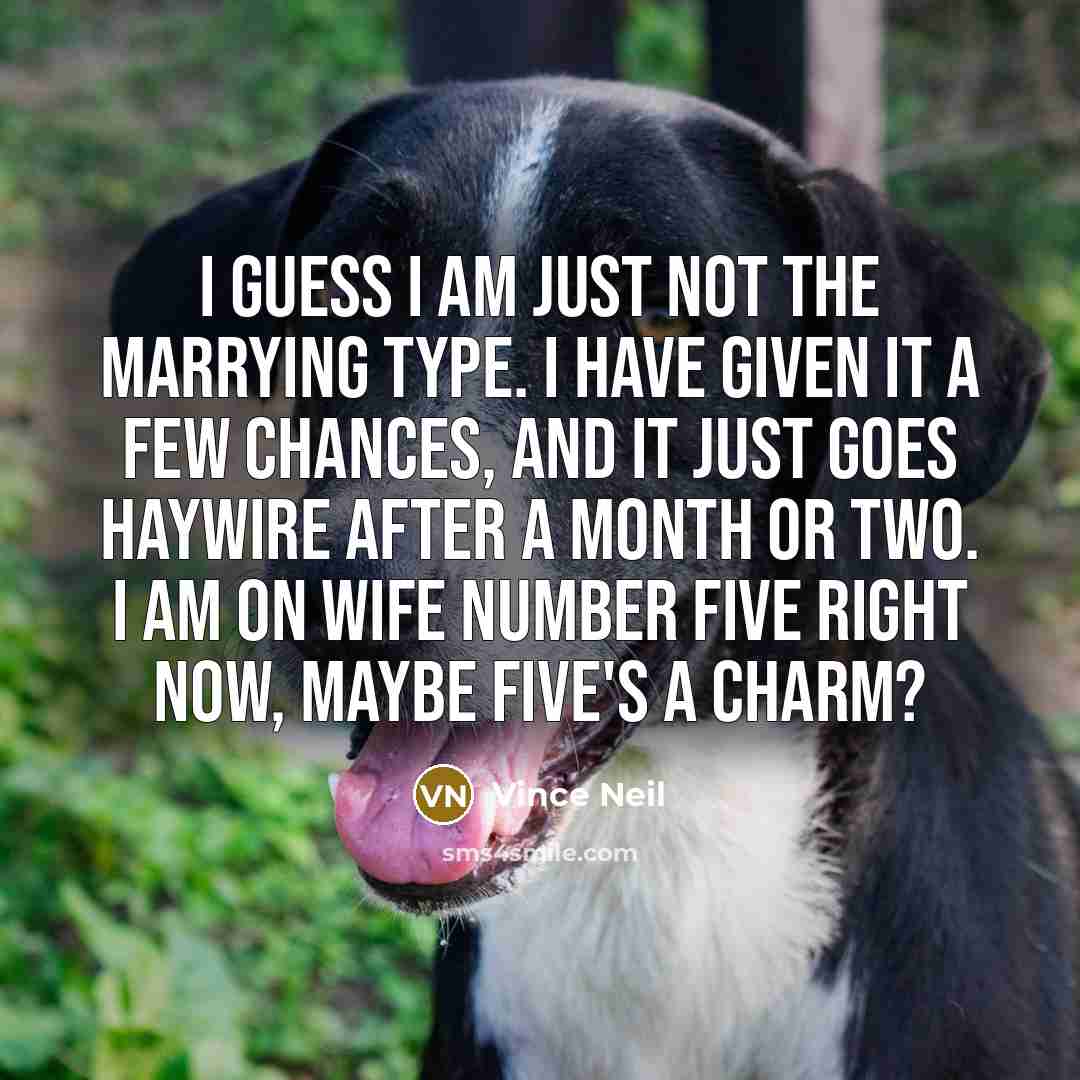 “I guess I am just not the marrying type. I…” quote by Vince Neil