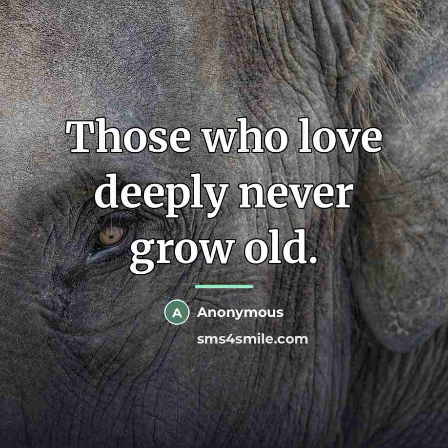 “Those who love deeply never grow old.…” quote by Anonymous