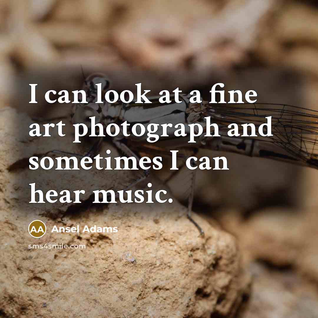 “I can look at a fine art photograph and sometimes…” quote by Ansel Adams