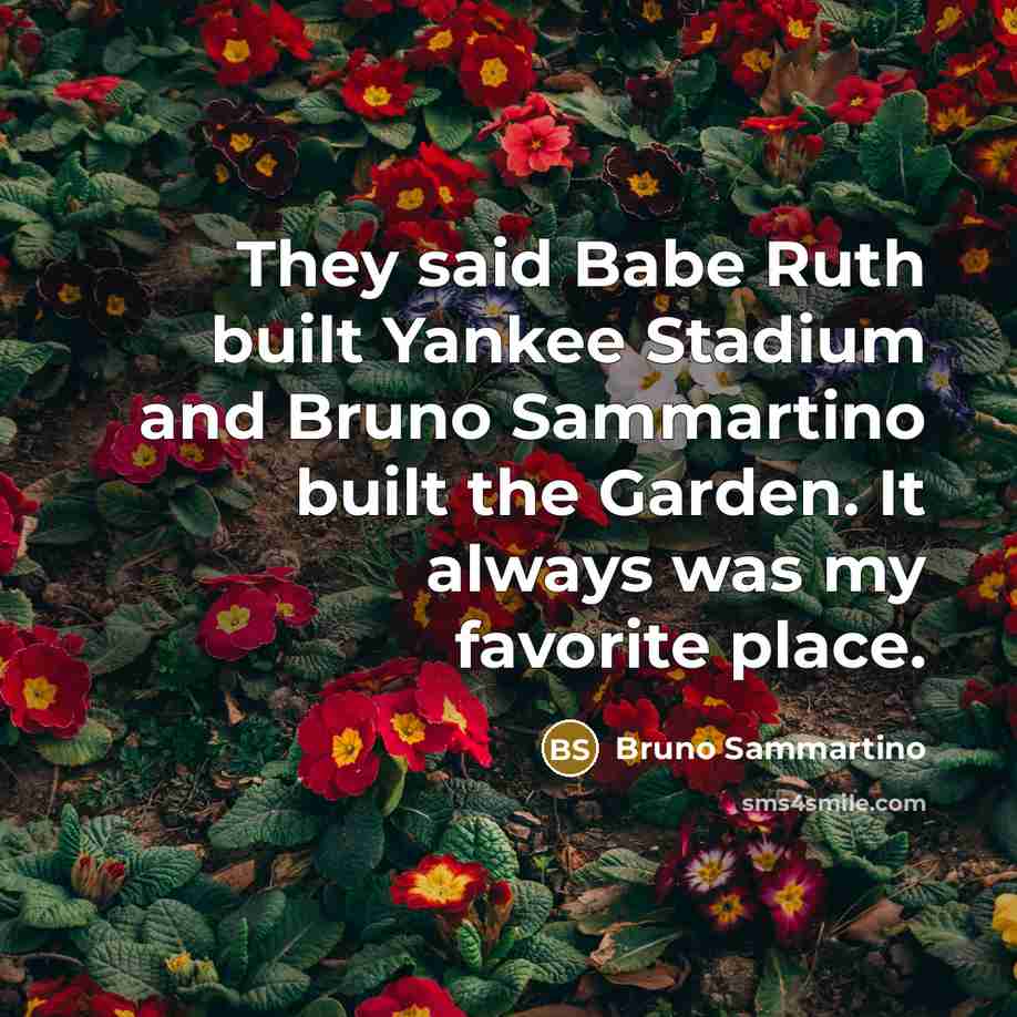 “They said Babe Ruth built Yankee Stadium and Bruno Sammartino…” quote by Bruno Sammartino