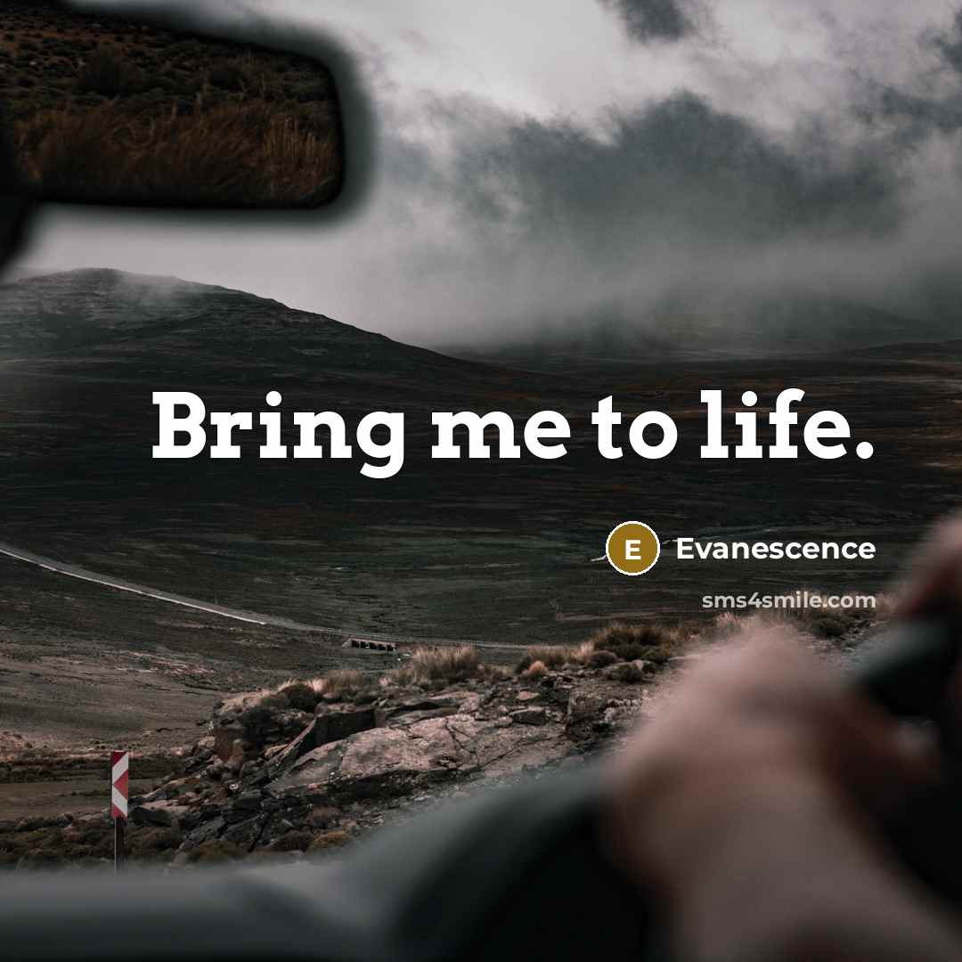 “Bring me to life.” quote by Evanescence