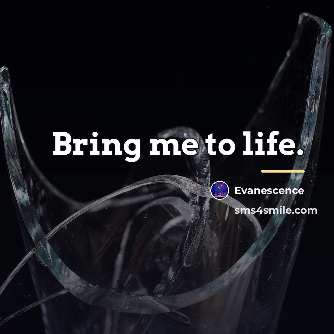 “Bring me to life.…” quote by Evanescence