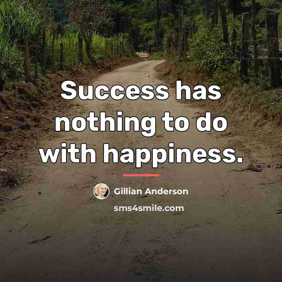 “Success has nothing to do with happiness.…” quote by Gillian Anderson