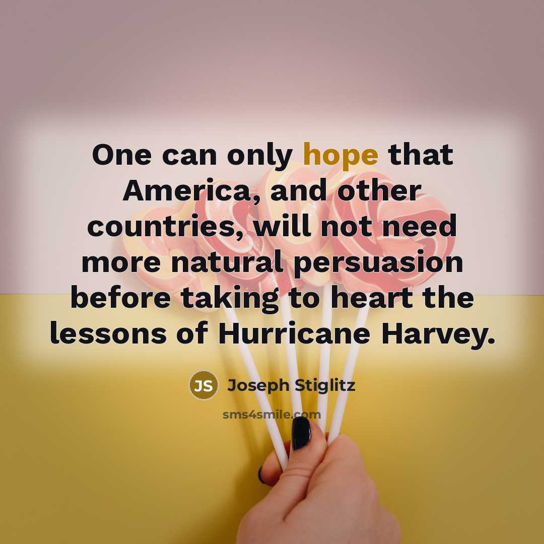 “One can only hope that America, and other countries, will…” quote by Joseph Stiglitz