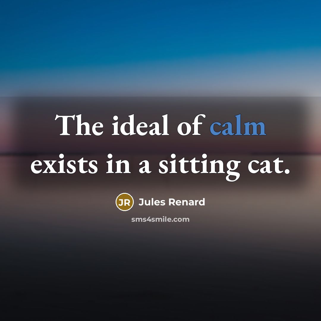 “The ideal of calm exists in a sitting cat.…” quote by Jules Renard