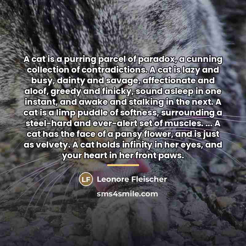 “A cat is a purring parcel of paradox, a cunning…” quote by Leonore Fleischer