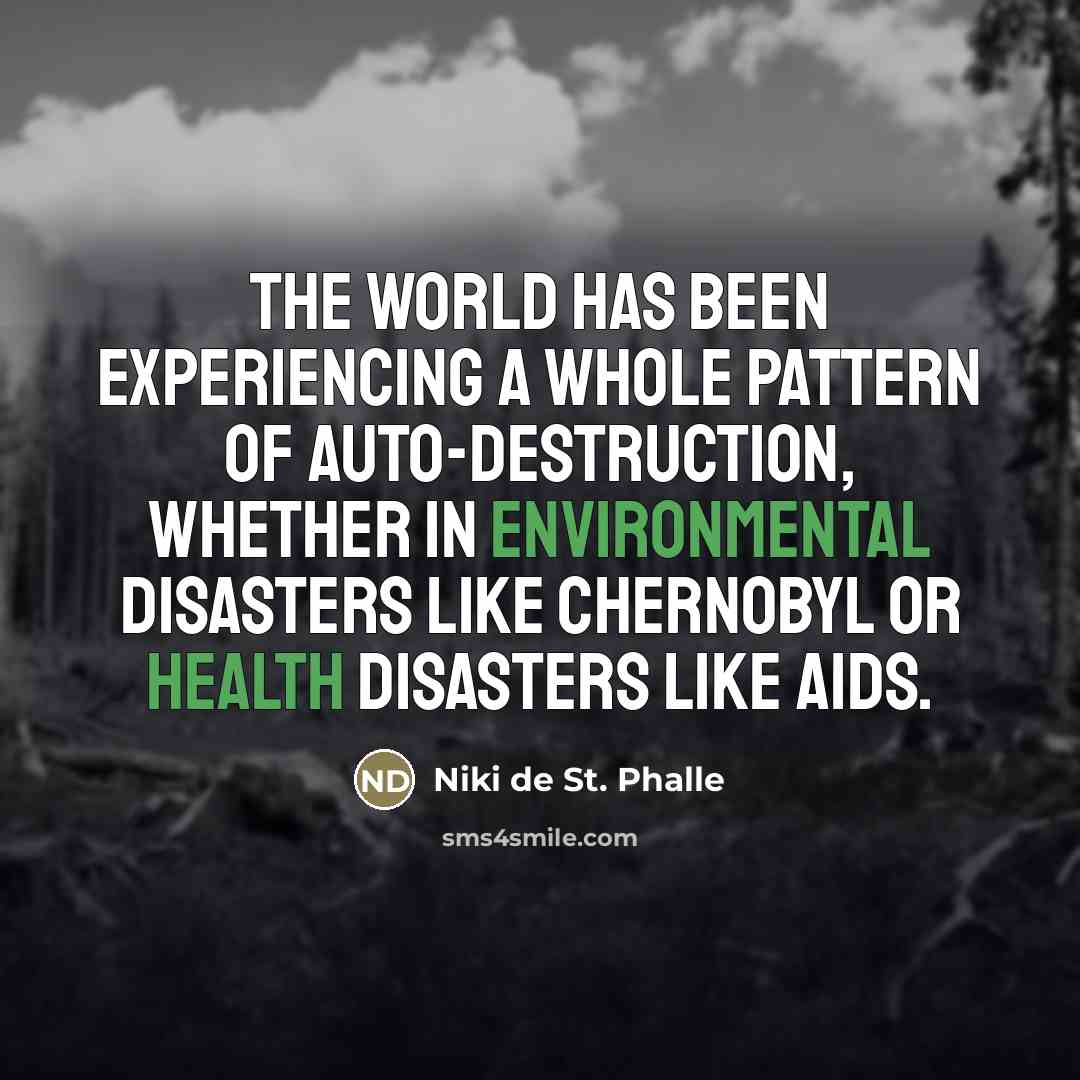 “The world has been experiencing a whole pattern of auto-destruction,…” quote by Niki de St. Phalle
