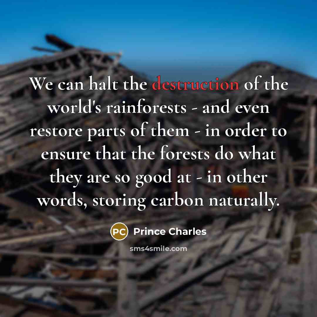 “We can halt the destruction of the world's rainforests -…” quote by Prince Charles