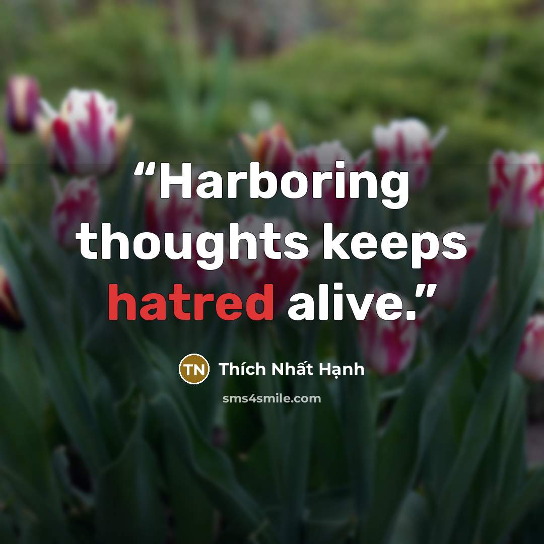 “Harboring thoughts keeps hatred alive.” quote by Thích Nhất Hạnh