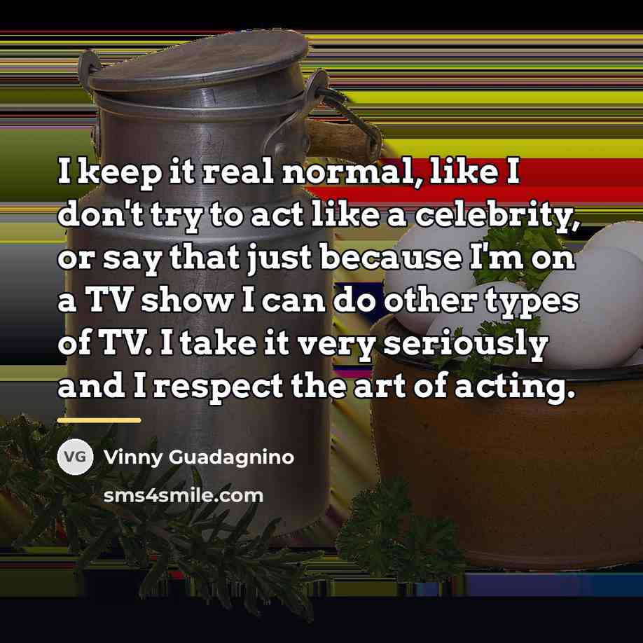 “I keep it real normal, like I don't try to…” quote by Vinny Guadagnino
