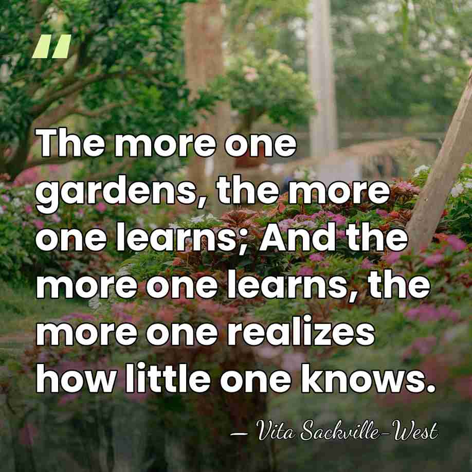 The more one gardens, the more one learns; And the more one&hellip; - Vita Sackville-West