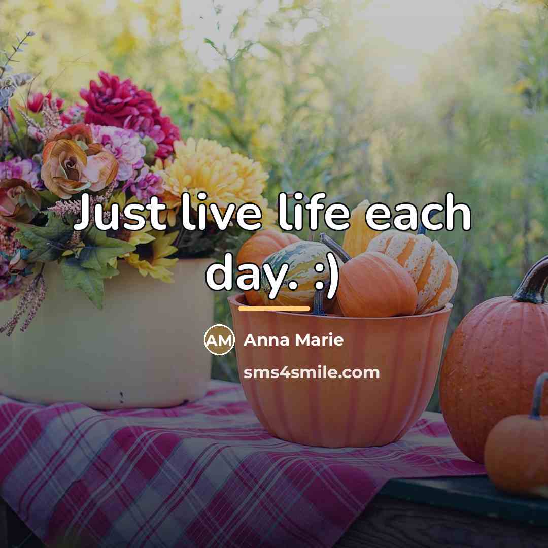 “Just live life each day. :)…” quote by Anna Marie
