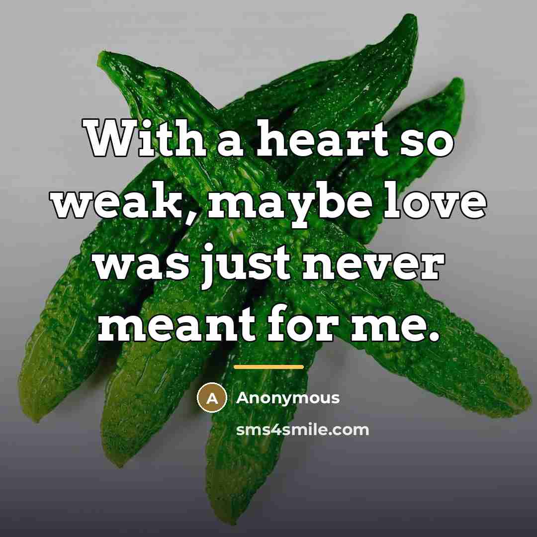 “With a heart so weak, maybe love was just never…” quote by Anonymous