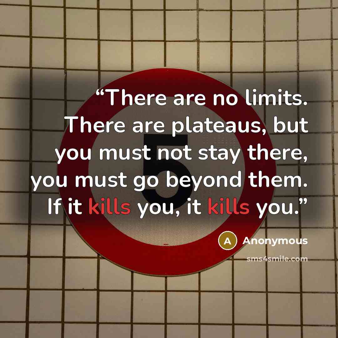“There are no limits. There are plateaus, but you must not stay there, you must go beyond them. If it kills you, it kills you.” quote by Anonymous