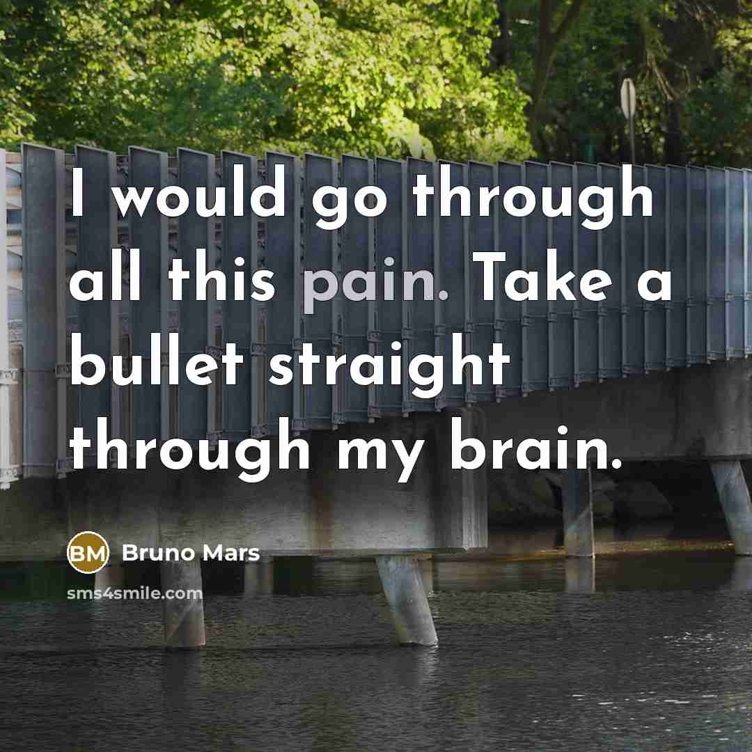 “I would go through all this pain. Take a bullet straight through my brain.” quote by Bruno Mars
