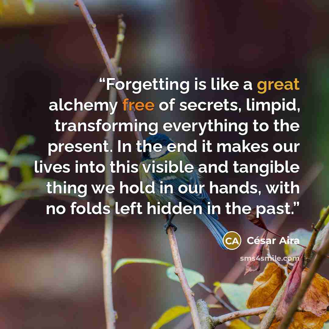 “Forgetting is like a great alchemy free of secrets, limpid, transforming everything to the present. In the end it makes our lives into this visible and tangible thing we hold in our hands, with no folds left hidden in the past.” quote by César Aira