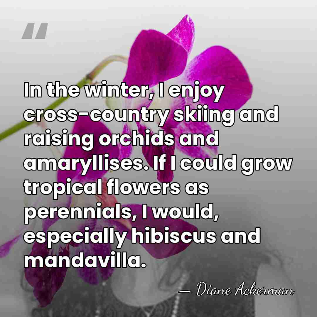 In the winter, I enjoy cross-country skiing and raising orchids and amaryllises.&hellip; - Diane Ackerman