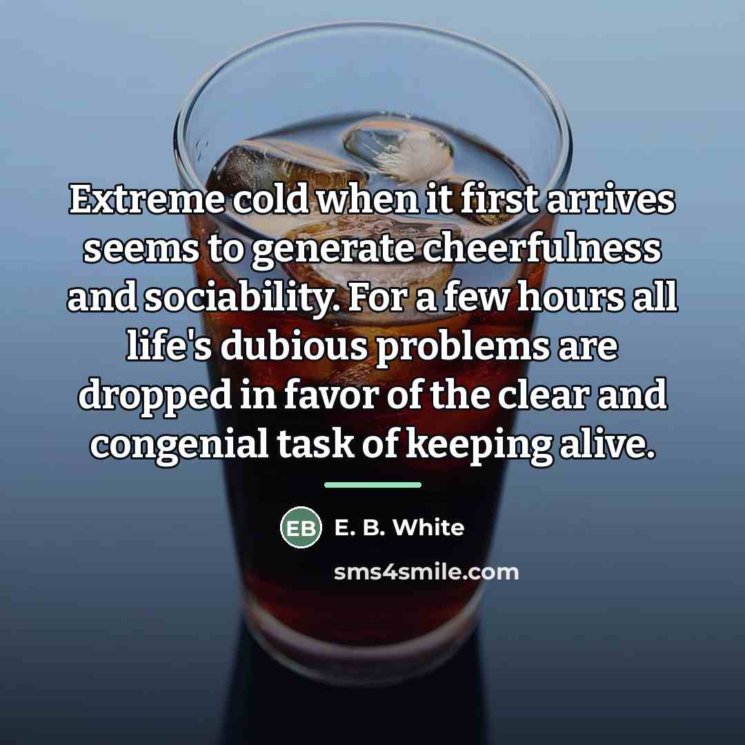 “Extreme cold when it first arrives seems to generate cheerfulness…” quote by E. B. White