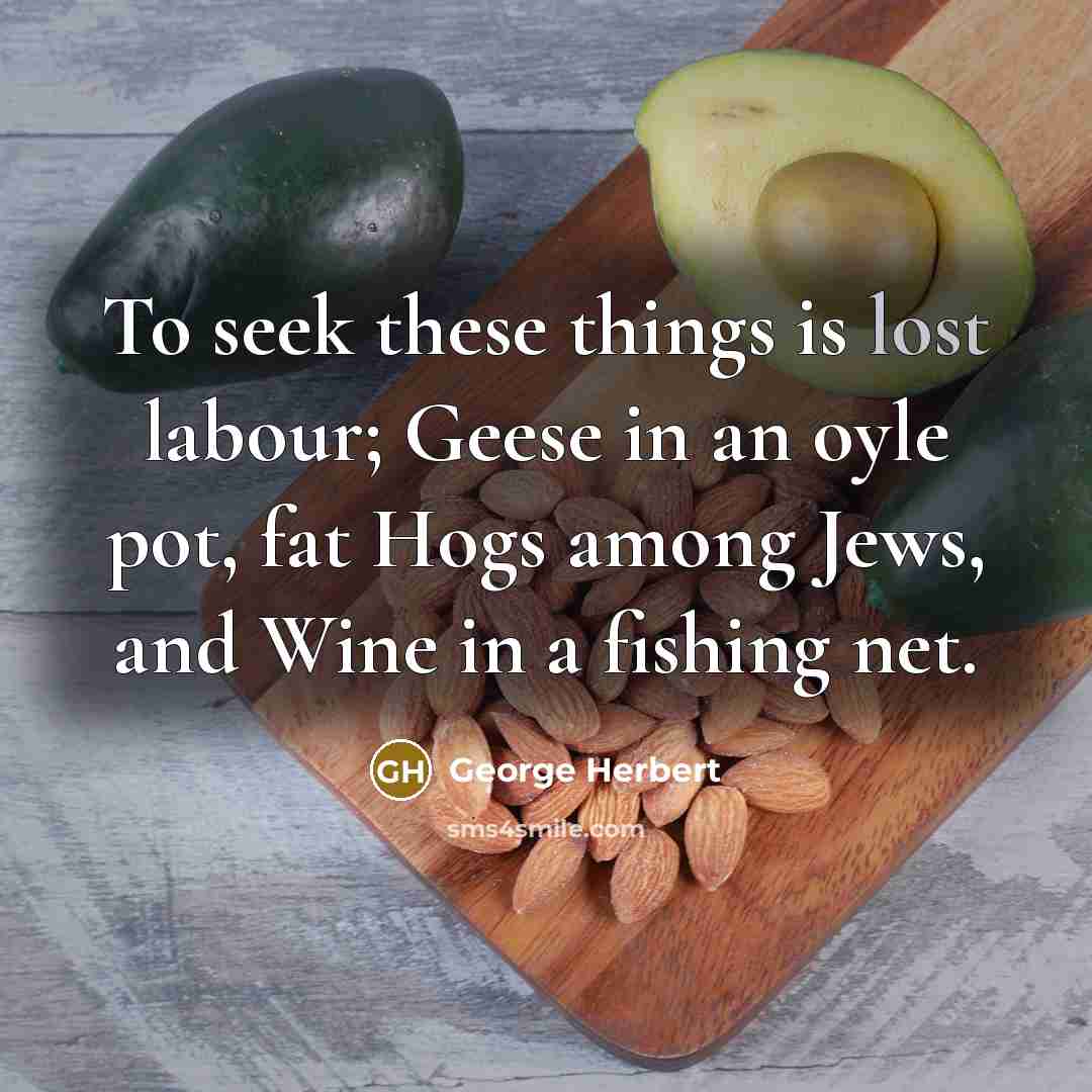 “To seek these things is lost labour; Geese in an…” quote by George Herbert