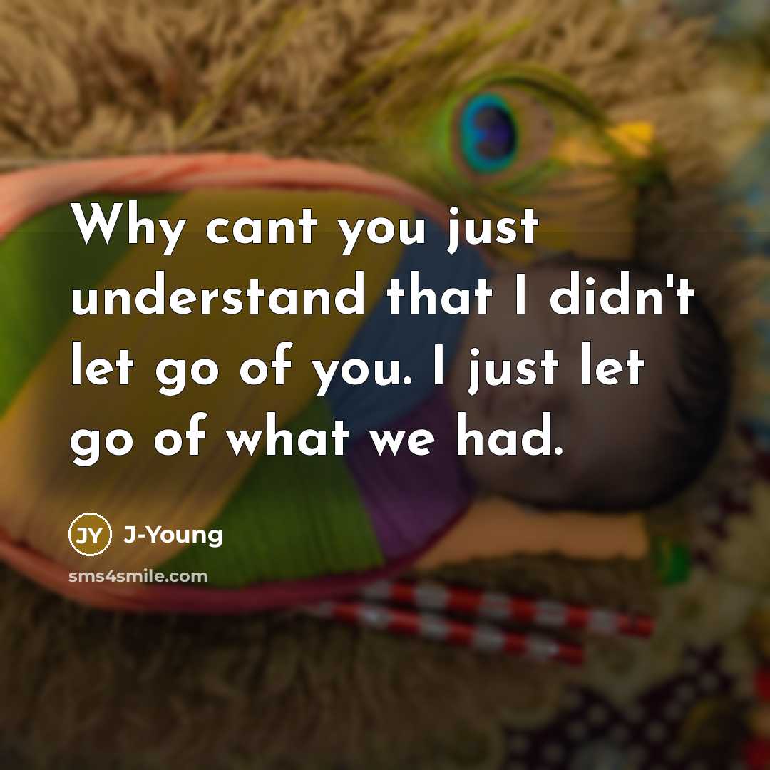 “Why cant you just understand that I didn't let go…” quote by J-Young