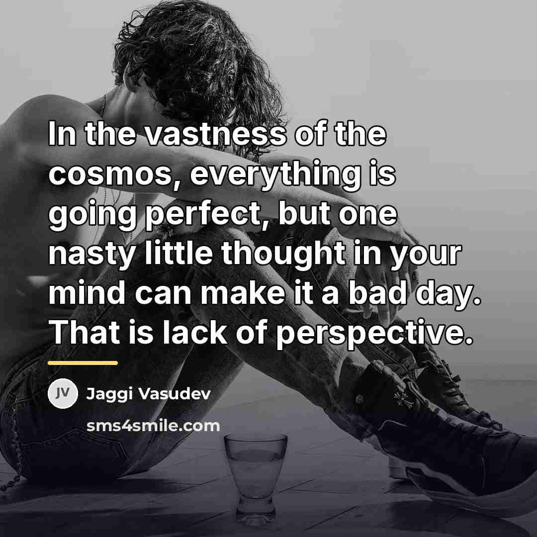 “In the vastness of the cosmos, everything is going perfect,…” quote by Jaggi Vasudev