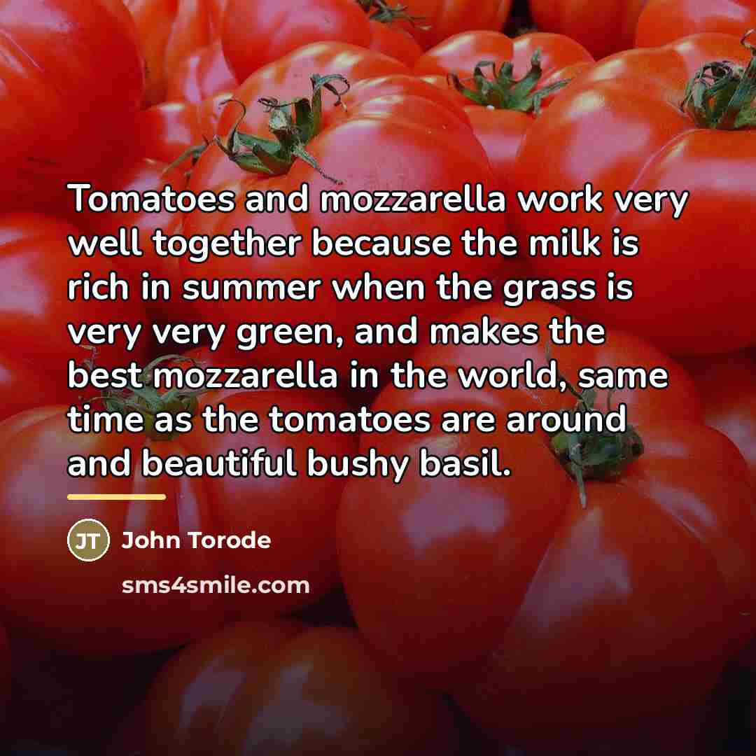 “Tomatoes and mozzarella work very well together because the milk…” quote by John Torode