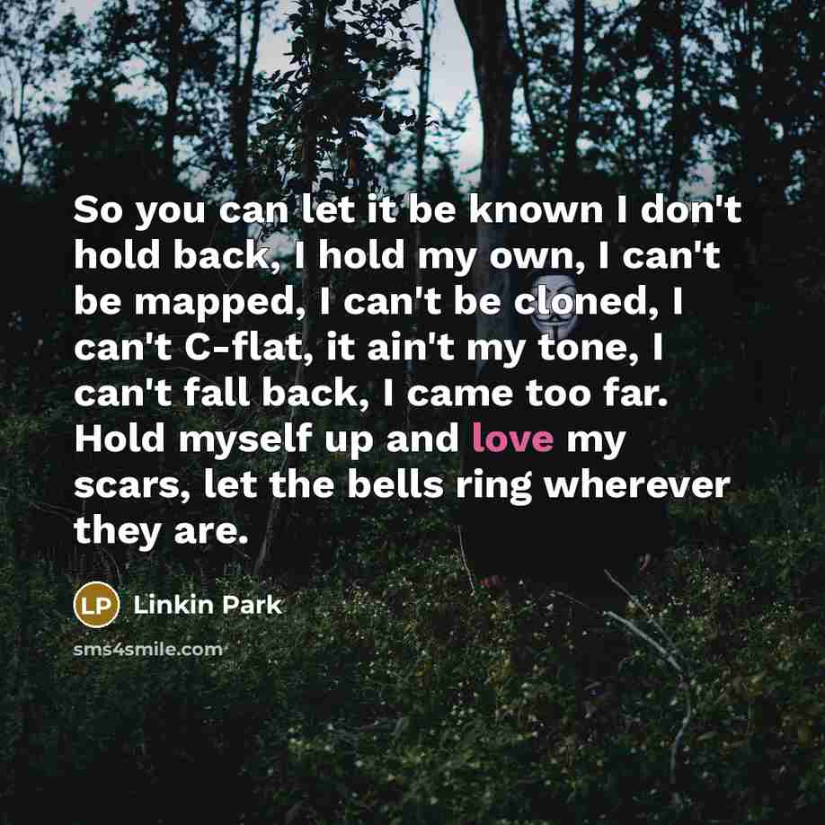 “So you can let it be known I don't hold…” quote by Linkin Park
