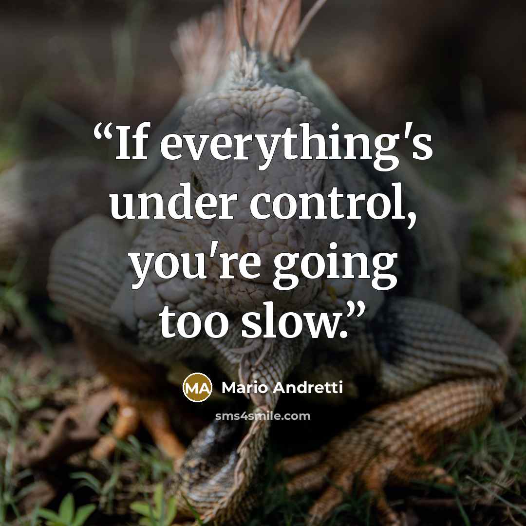 “If everything's under control, you're going too slow.” quote by Mario Andretti