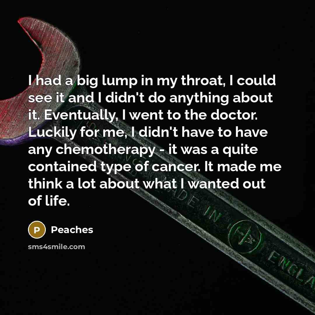 “I had a big lump in my throat, I could…” quote by Peaches