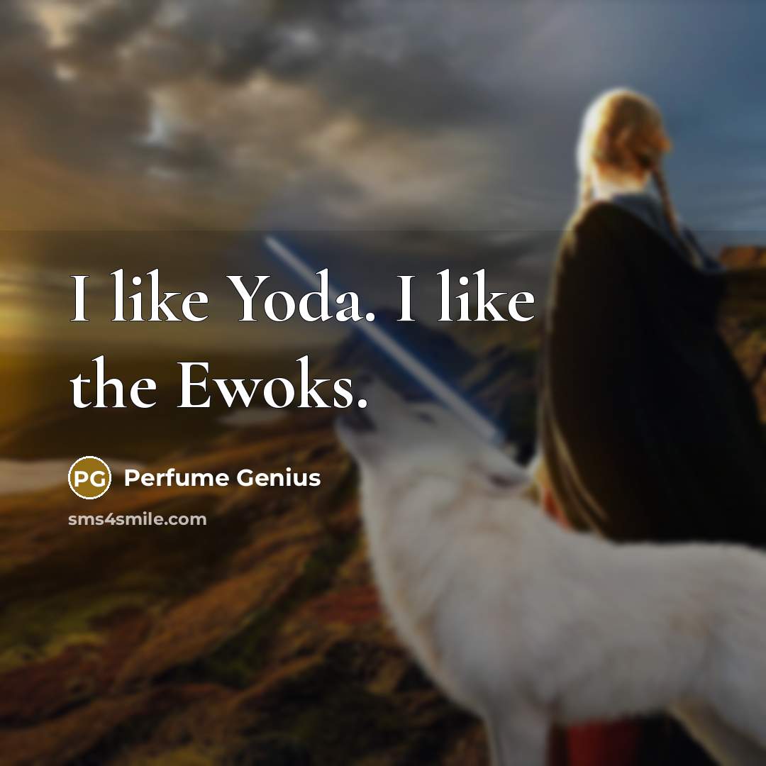 “I like Yoda. I like the Ewoks.…” quote by Perfume Genius