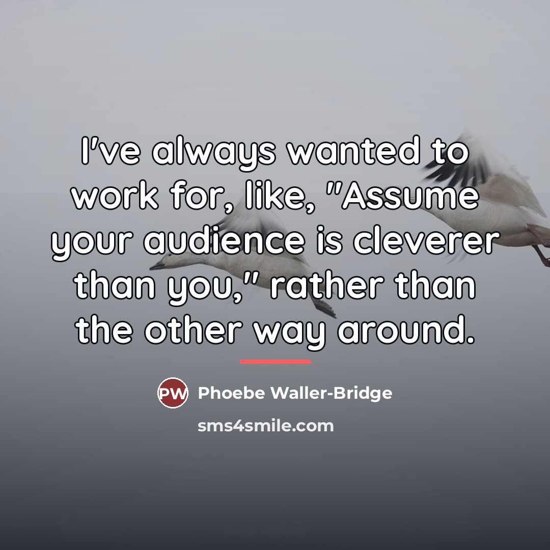 “I've always wanted to work for, like, "Assume your audience…” quote by Phoebe Waller-Bridge