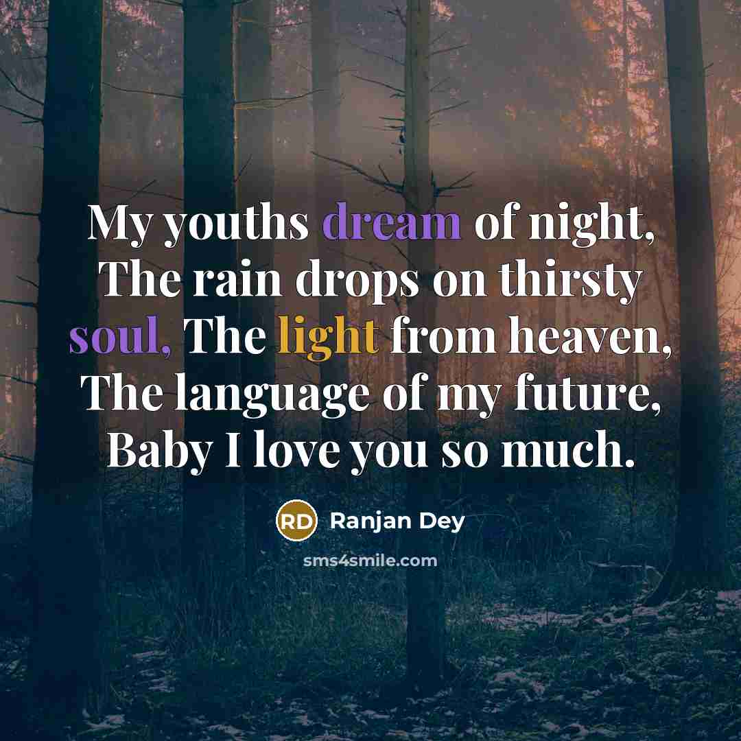 “My youths dream of night, The rain drops on thirsty soul, The light from heaven, The language of my future, Baby I love you so much.” quote by Ranjan Dey