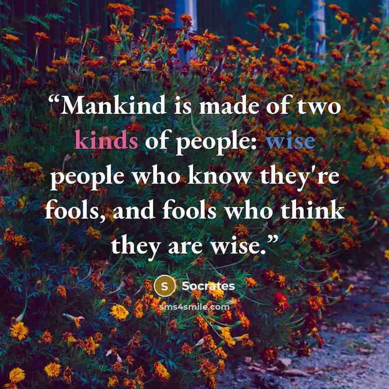 “Mankind is made of two kinds of people: wise people who know they're fools, and fools who think they are wise.” quote by Socrates
